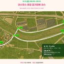 호법 코스모스길 이미지