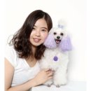 피카소동물병원 이미지