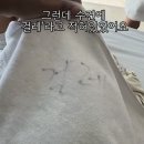 여수 비치호텔 아시아경제