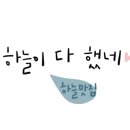 데일리하루 이미지