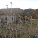 오길농장 이미지