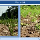 보태기밥상 이미지