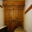 나무사이로 이미지