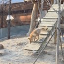 국립공원야생생물보전원 중부보전센터 이미지