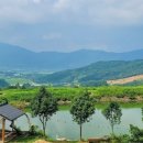 번덕뜰 민박 이미지