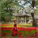 갈계숲화장실 이미지