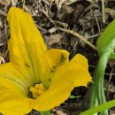 나누리농원 이미지