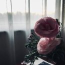 ♥그해 1029샤오잔의 조각들 ~ing