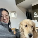 한올심리상담센터