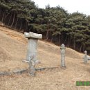 연(然) 이미지
