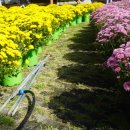 인제 터미널 앞 공원 이미지