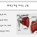 우일헬스 이미지