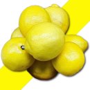 레몬 이미지