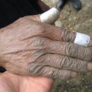 무주 농원 이미지