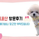 화끈불끈쭈꾸미
