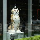 고은모터스 이미지