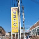 백호수산