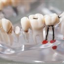 종로밀레니엄치과의원 이미지