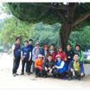 대동중학교 이미지