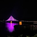 군산 은파호수공원 음악분수: 밤하늘을 수놓는 빛과 물의 향연 이미지