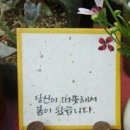 해뜨락 이미지