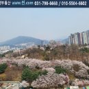 해태공인중개사사무소 이미지