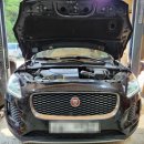 TM모터스 이미지