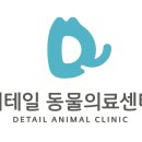 출근길 강아지 유치원 이미지