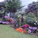 빙빙노래연습장 이미지