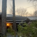 비발디 캠핑파크 | 수도권 근교 추천! 홍천 애견동반 캠핑, 비발디캠핑파크 캠핑 후기 🏕️