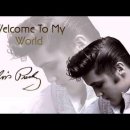 Welcome to My World(Jim Reeves) 이미지