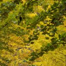 꼬꼬양계농장 이미지