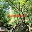 마장호수 근처 맛집 숲속산장 계곡도 백숙도 환상