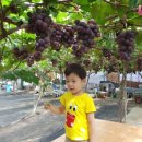 봉기농장 이미지