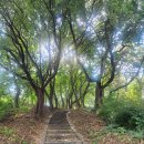 후백제 | 논산 견훤왕릉｜후백제 왕의 무덤과 역사 여행 후기