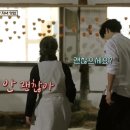 케미갑 이미지