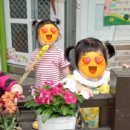 아가숲어린이집 이미지