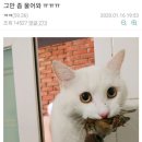 물물교환 Daum카페