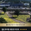 엠버퓨어힐 호텔앤리조트 | 제주 엠버퓨어힐 호텔 앤 리조트 특가 떴다! 지금 예약 안 하면 후회함 ㅠㅠ