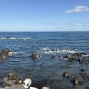 금호정육점 이미지