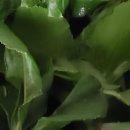 수예농장 이미지