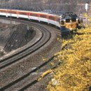 1박2일유람선연계코스 이미지