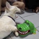 백년짬뽕 이미지