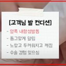 건대입구역 1번출구약국 이미지