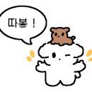 네일바이썬 이미지