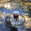 리틀포레짐 | 양평 계곡 카페 리틀포레 용문산 중원계곡 드라이브코스 추천 노키즈존, 애견동반 가능
