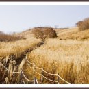 (주)조은여행사 Daum카페