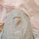 에스테틱윤 이미지