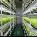 디에이치 코리아 이미지