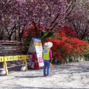 완산-5 이미지